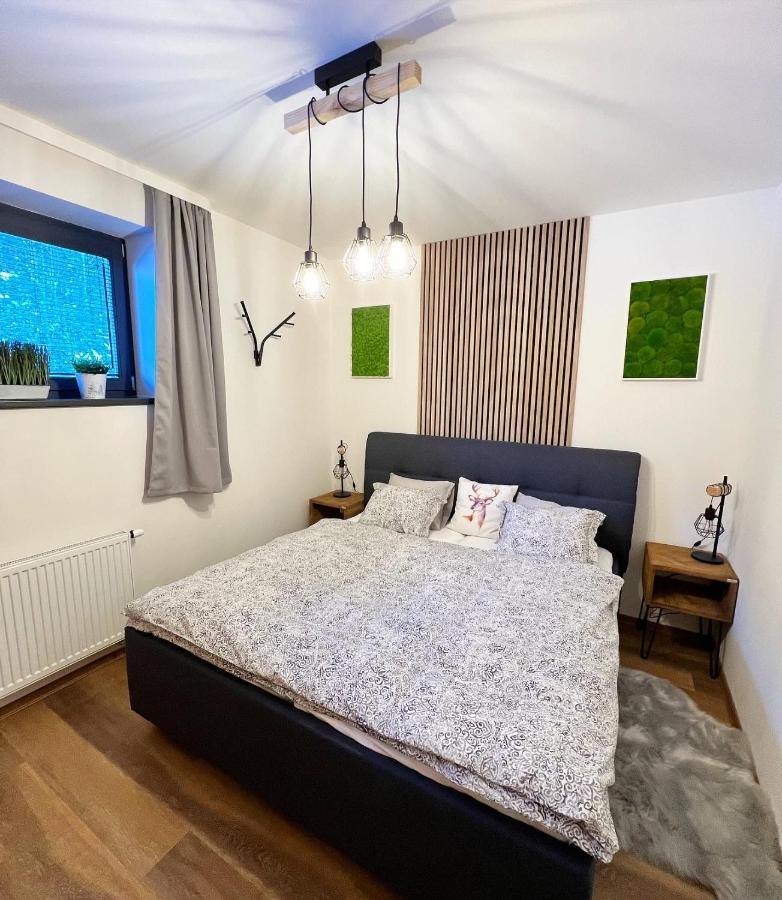 U Jelena Harrachov - Rodinny Apartman U Lesa S Garazi المظهر الخارجي الصورة